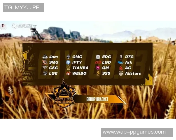 全明星赛中EDG团队协作表现分析与评价探讨